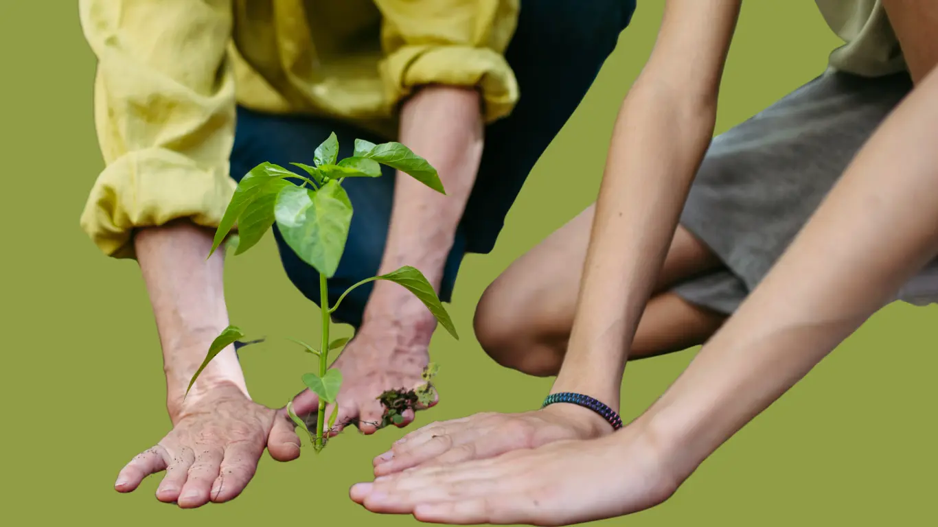What Is Forest School? 5 Proven Benefits for Children’s Learning and Development
