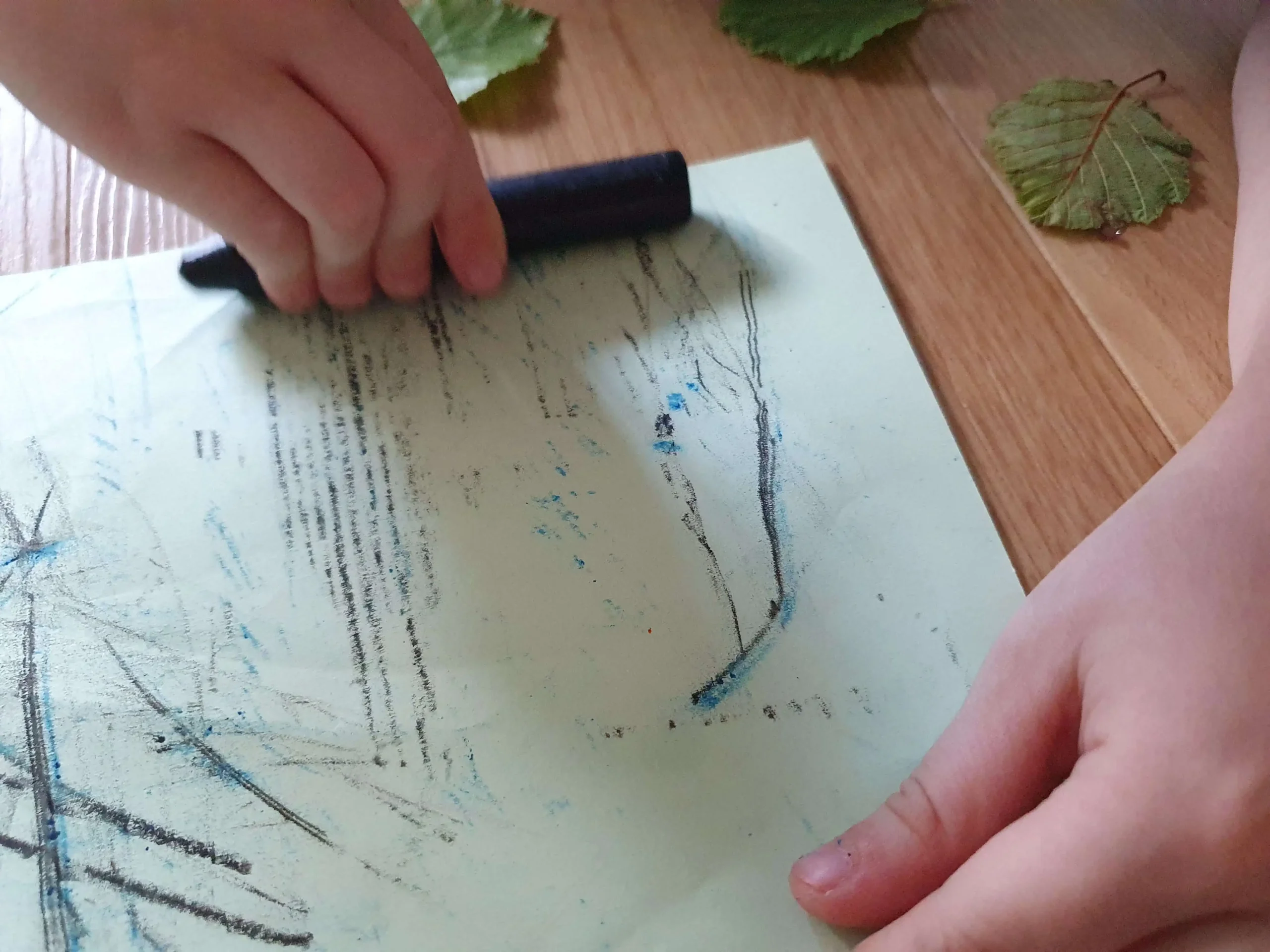 Leaf Rubbing for child development